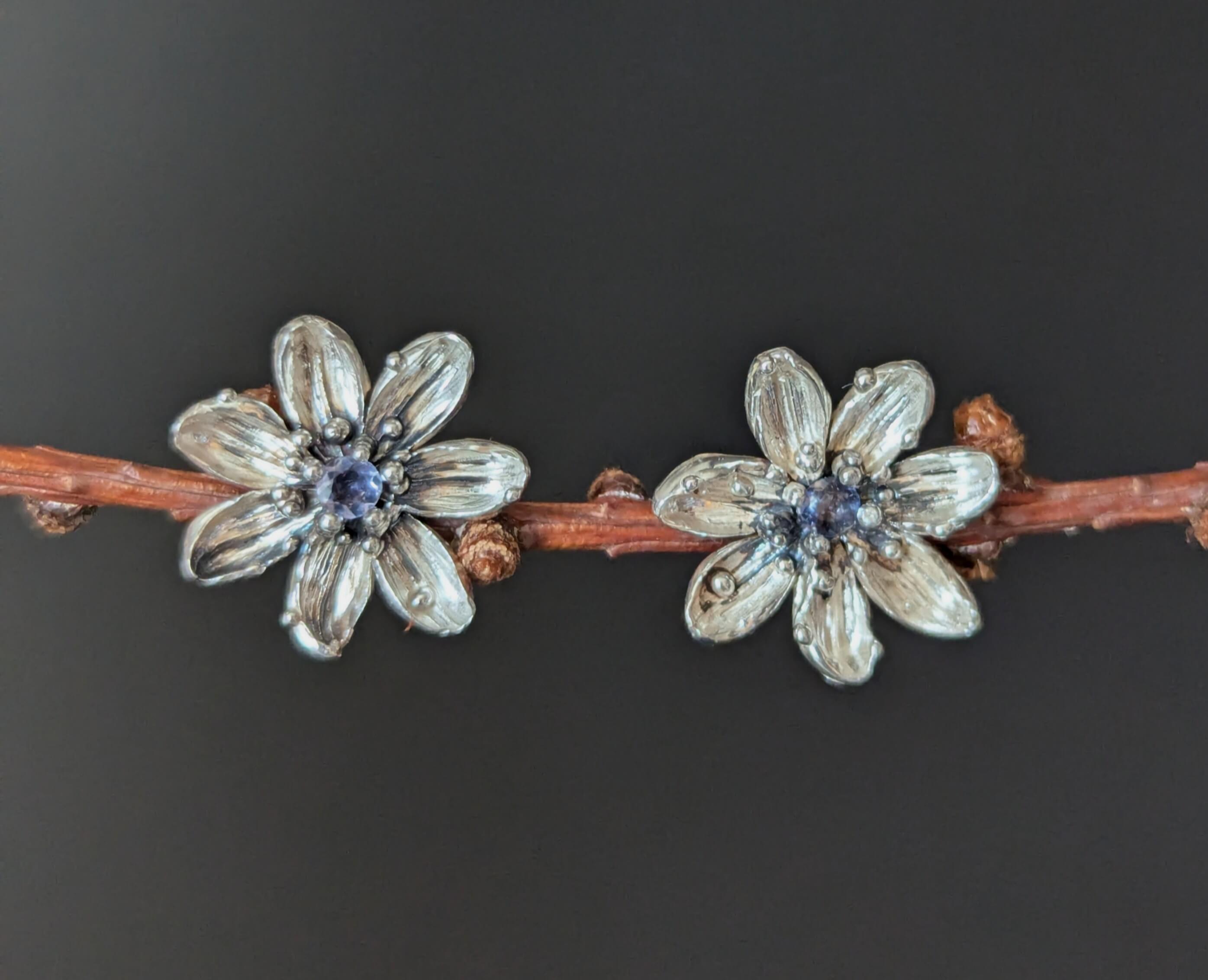 Auskarai su jolitais "Šilo akys"